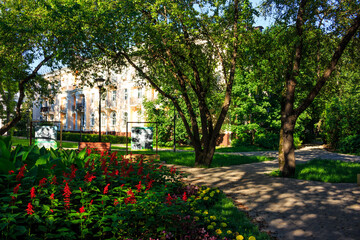 A flowerbed with flowers in a city square in the old part of the city. Obninsk, Russia