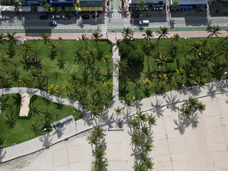 Miami downtown palm tree area of Miami south beach with street road in Florida, USA