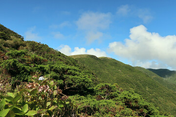 Fototapeta premium View of the hiking trail starting in Serra do Topo - Caldeira Santo Cristo - Fajã dos Cubres in São Jorge island, Azores, Portugal.
