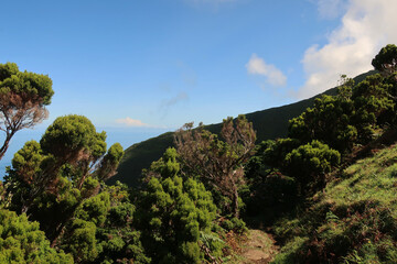 View of the hiking trail starting in Serra do Topo - Caldeira Santo Cristo - Fajã dos Cubres in São Jorge island, Azores, Portugal.