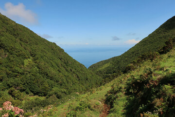 Fototapeta premium View of the hiking trail starting in Serra do Topo - Caldeira Santo Cristo - Fajã dos Cubres in São Jorge island, Azores, Portugal.
