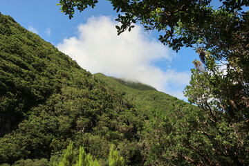 View of the hiking trail starting in Serra do Topo - Caldeira Santo Cristo - Fajã dos Cubres in São Jorge island, Azores, Portugal.