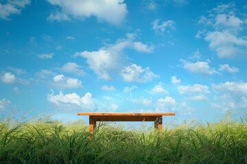 Fototapeta premium Grassy landscape under a blue sky with a wooden table