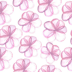 lilac sakura flower with transparent petals seamless pattern on white background watercolor illustration floral background for invitations. for clothing, wallpaper, wrapping paper, home decor