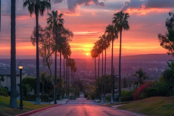 Fotobehang Los Angeles County: Sunset View from Whittier, California with Palm Trees in Residential Street © Popelniushka