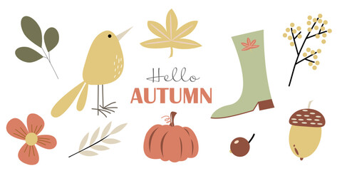 Vector autumn set of pumpkin, bird, berries, boots, nuts and leaves on white background. Hello autumn