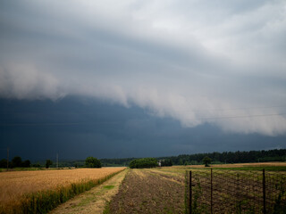 Sturmwolken, herannahende Sturmwolken, vor dem Sturm 