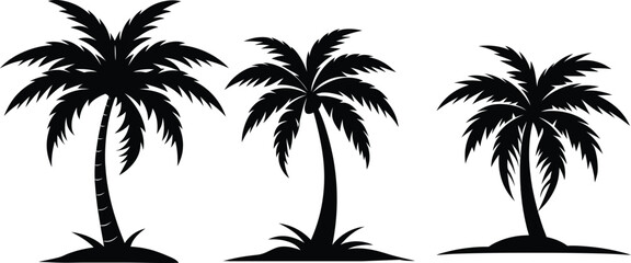 palm tree silhouette vector illustration