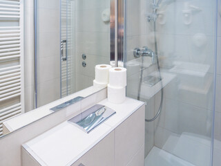 Toilet paper and other toiletries in a hotel bathroom, standard room, quality of services, hotel business, service certification