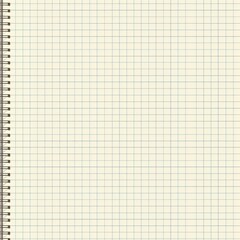 Close-up image of a single-page from a grid notebook, emphasizing the neat grid lines and spiral binding. Perfect for sketching, technical work, or academic note-taking.