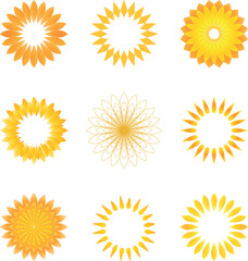 Vector sunflowers, icons, logo set.