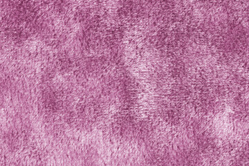 Faux fur texture, fluffy velours pink fabric or cloth, upholstery textile