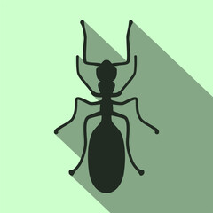 Ant icon, insect symbol. Animal pictogram, flat vector sign isolated on white background. Simple vector illustration for graphic and web design.