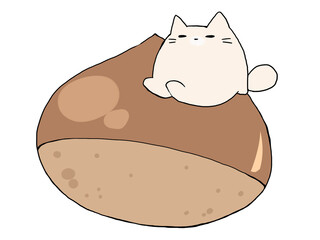 びっくくりねこ