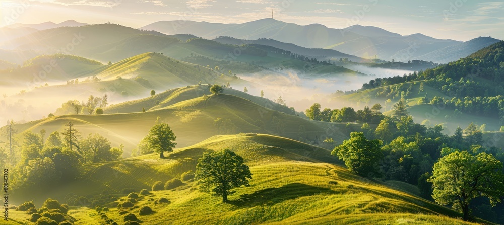 Poster sunlit morning mist over rolling hills