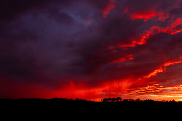 Red and purple sunset and raining cloud over the field with trees.