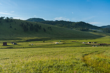 Fototapeta premium Mongolische Steppe im Sommer