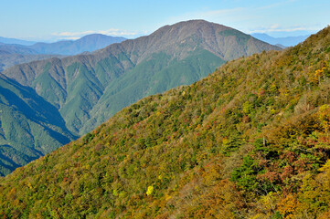 紅葉の丹沢山地　姫次より大室山を望む
