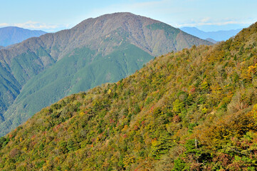 紅葉の丹沢山地　姫次より大室山を望む
