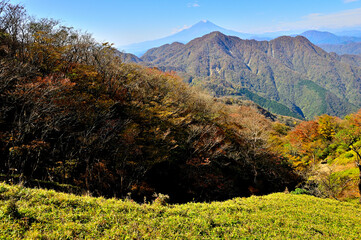 Obraz premium 紅葉の丹沢山地 蛭ヶ岳より望む富士山と秋色の西丹沢 
