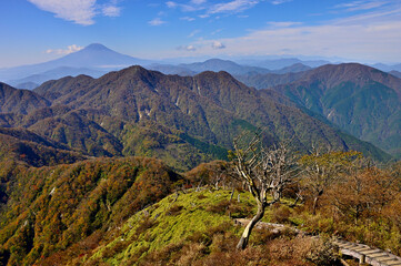 Fototapeta premium 秋の丹沢山地 紅葉の蛭ヶ岳山頂より西丹沢と富士山を望む 