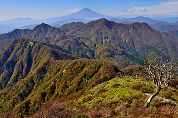 秋の丹沢山地　紅葉の蛭ヶ岳山頂より西丹沢と富士山を望む
