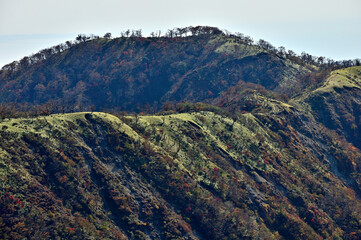 Naklejka premium 紅葉の丹沢 蛭ヶ岳山頂より不動ノ峰を望む 