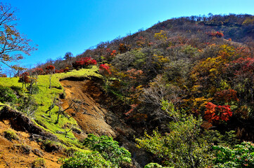 Obraz premium 秋の丹沢山地 紅葉の蛭ヶ岳 