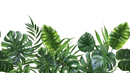 Tropical Leaves Border Design