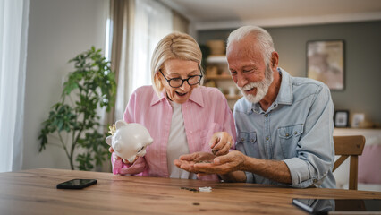 Senior couple count money from the piggy bank and save money together