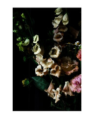 snapdragons, bouquet, moody, chiaroscuro, whimsical, yellow, 

