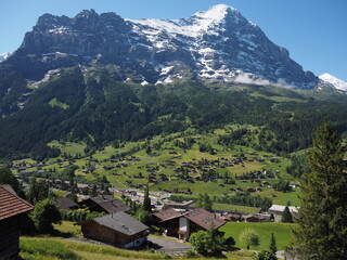 View of Grindelwald, Switzerland. Sunny morning in the Alpine mountains. Snowy mountain peaks and green meadows.