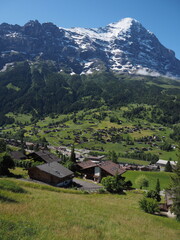 View of Grindelwald, Switzerland. Sunny morning in the Alpine mountains. Snowy mountain peaks and green meadows.