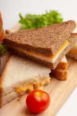 Delicious fresh Sandwich with Cheese and salad