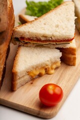 Delicious fresh Sandwich with Cheese and salad