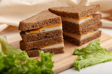 Delicious fresh Sandwich with Cheese and salad