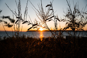 Fototapeta premium Savary Island Sunset