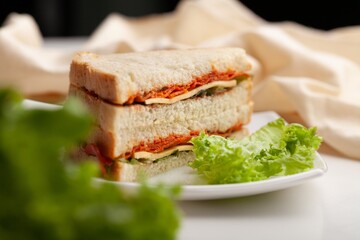 Tasty fresh Sandwich with ham and vegetables