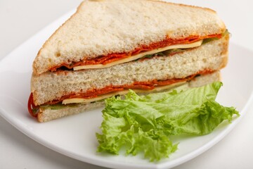 Tasty fresh Sandwich with ham and vegetables