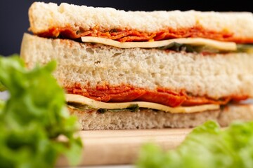 Tasty fresh Sandwich with ham and vegetables