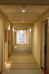 a fantastic hallway in a traditional Japanese hotel