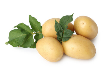 Fresh raw potatoes and green leaves isolated on white