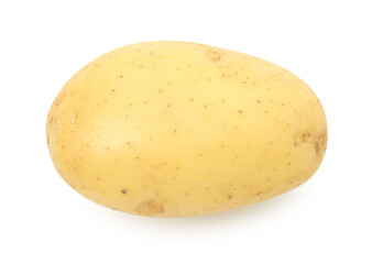 One fresh young potato isolated on white, top view