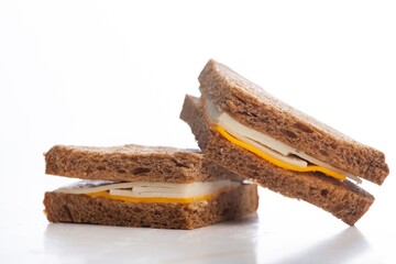 Delicious fresh Burger Sandwich with Cheese