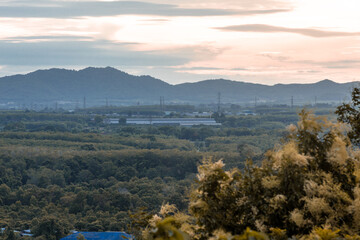 The close background of the green rice fields, the seedlings that are growing, are seen in rural areas as the main occupation of rice farmers who grow rice for sale or living.