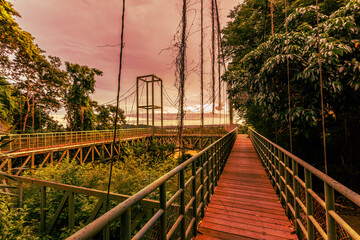 Obraz premium The close background of the green rice fields, the seedlings that are growing, are seen in rural areas as the main occupation of rice farmers who grow rice for sale or living.