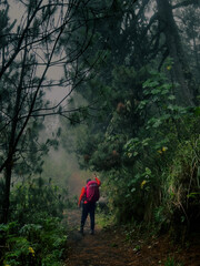 Nature