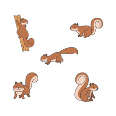 Fototapeta premium cute squirrel illustration
