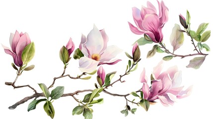 Obraz premium Watercolor painting of spring blooming magnolia tree branches