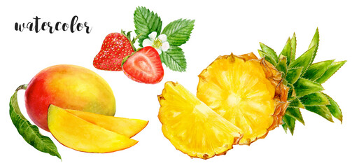 Watercolor fruits Mango, Strawberry, Pineapple for artistic, botanical purposes, fresh, juicy